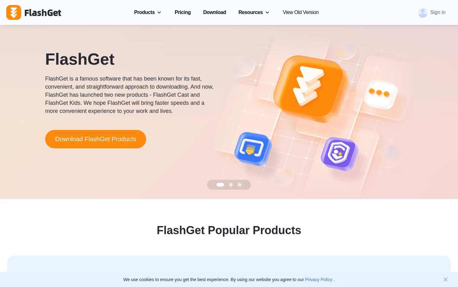 FlashGet 页面快照